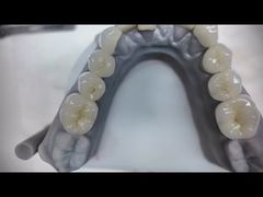 Dentiere in zirconia che imitano i denti naturali
