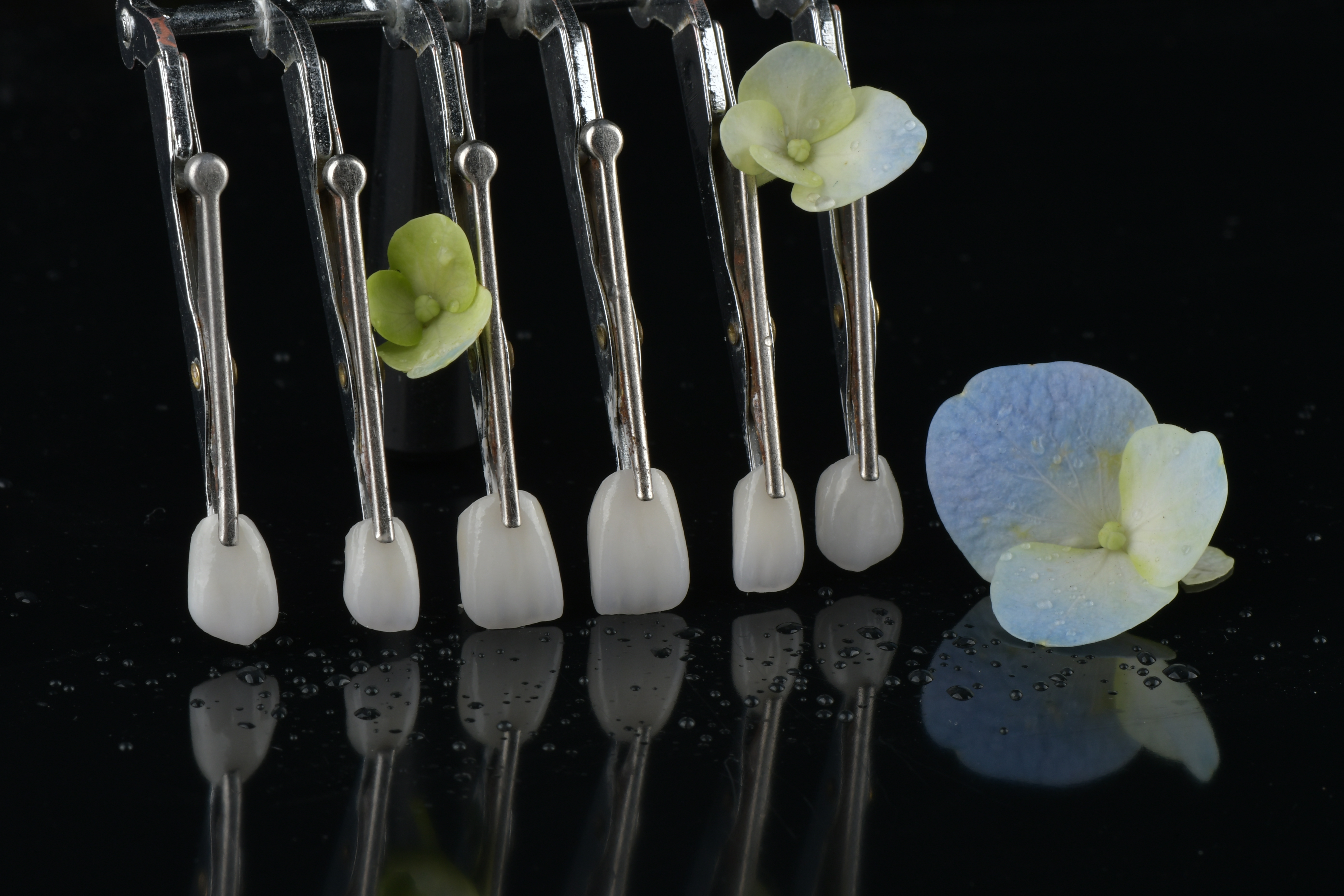 Ultimi blog aziendali su I restauri fissi richiedono appuntamenti di follow-up?