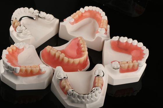 Prodotti dentali ipoallergenici Acrilici Rimuovibili Denti artificiali Denti parziali rimovibili