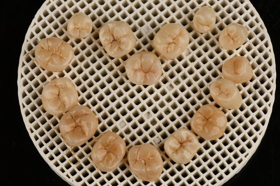 Soluzione di laboratorio dentale Multilayer Full Zurconia per la biocompatibilità e l' aspetto naturale